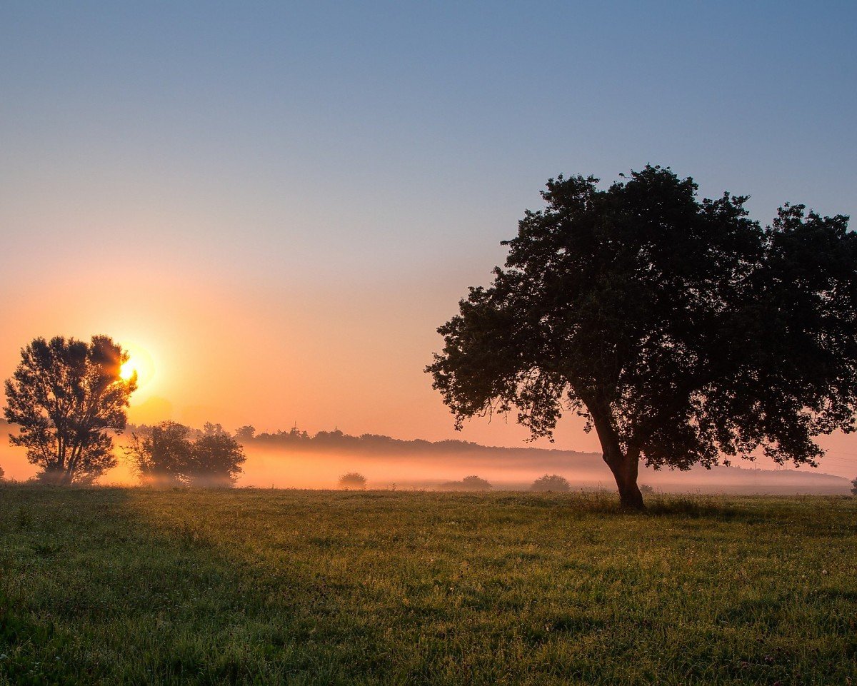 Warum einen Immobilienmakler f�r Leun beauftragen