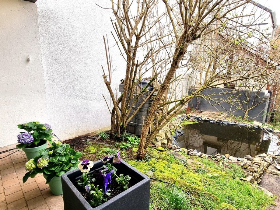Blick auf den Gartenteich Einfamilienhaus Braunfels