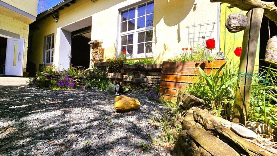 Auch Katzen lieben den Landhaus-Stil Mehrfamilienhaus Langg�ns / Cleeberg