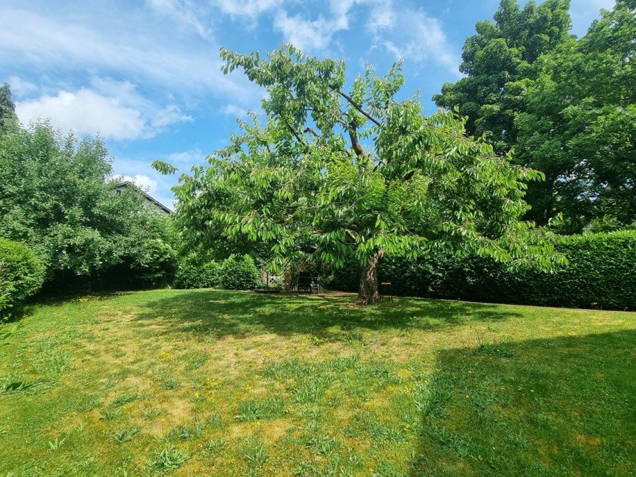 Weitl�ufiger und uneinsehbarer Garten mit gro�em Kirschbaum Einfamilienhaus Leun