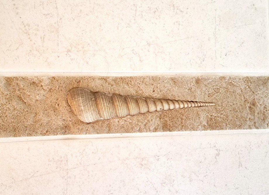 Liebenswerte Details im Hauptbadezimmer Einfamilienhaus Wetzlar