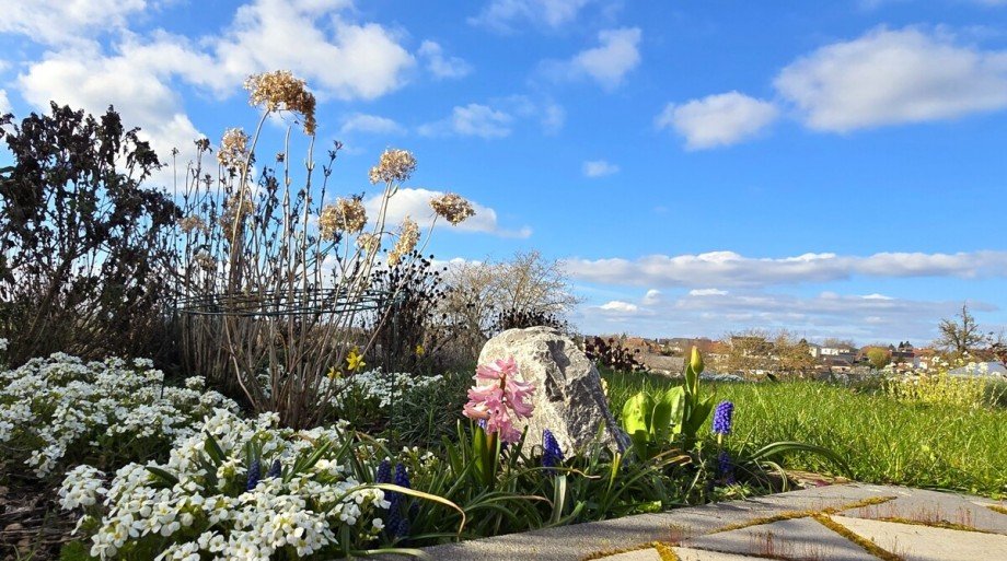 Der Fr�hling ist da Einfamilienhaus Sch�ffengrund / Niederwetz