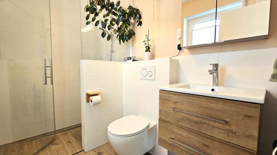 Selbst das G�ste WC hat eine Dusche Einfamilienhaus Sch�ffengrund / Niederwetz