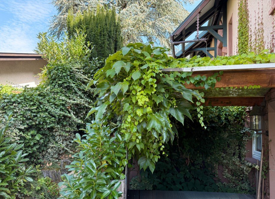 Unterstand neben dem Wintergarten, sch�n eingebunden in die Natur Einfamilienhaus Braunfels