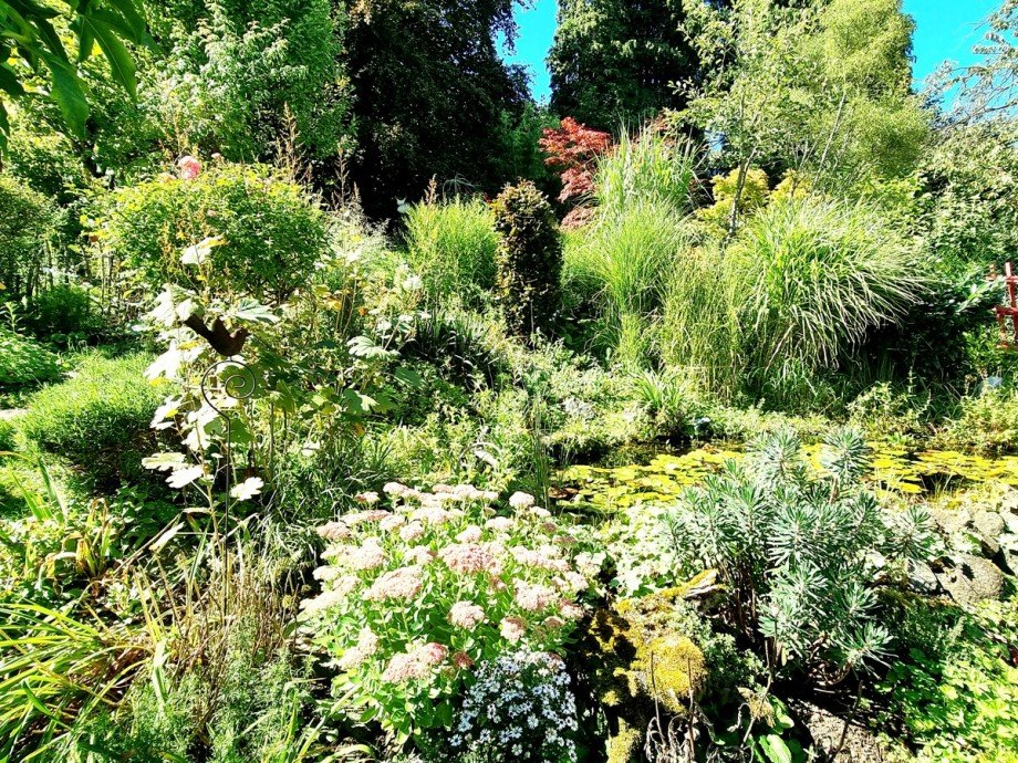 Teich im Garten ums�umt mit Gr�sern und Stauden Doppelhaush�lfte Wetzlar