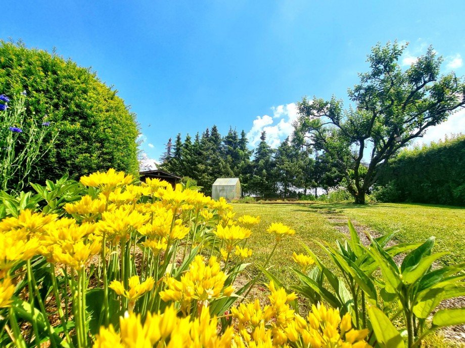 Sch�n gestalteter Garten am Feldrand Einfamilienhaus Wetzlar