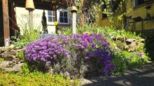 Landhaus Idylle im Hof ***Drei f�r Eins*** 2 H�user + Saal. Teilweise barrierefrei. Kapitalanlage/Mehrgenerationenkonzept.