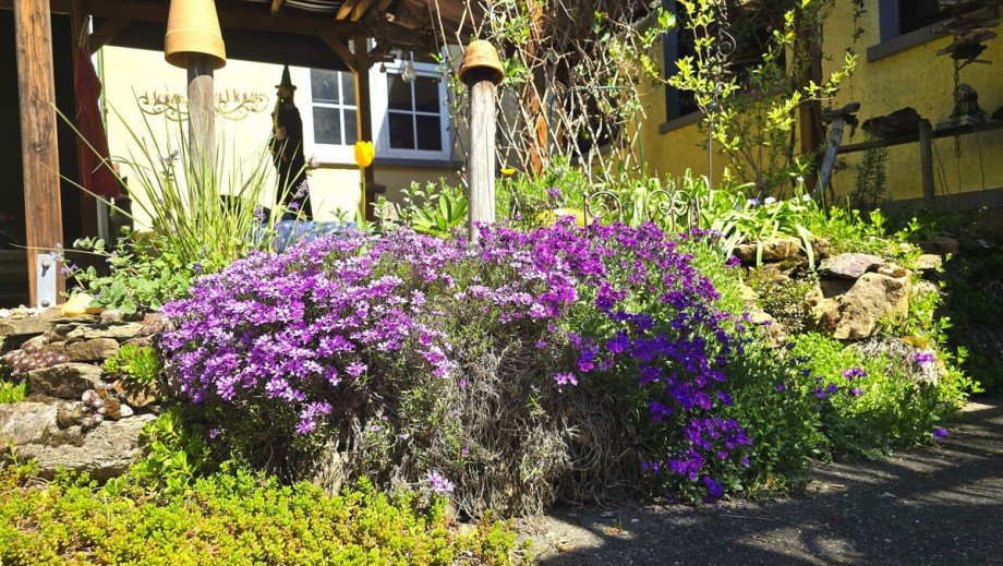 Landhaus Idylle im Hof Mehrfamilienhaus Langg�ns / Cleeberg