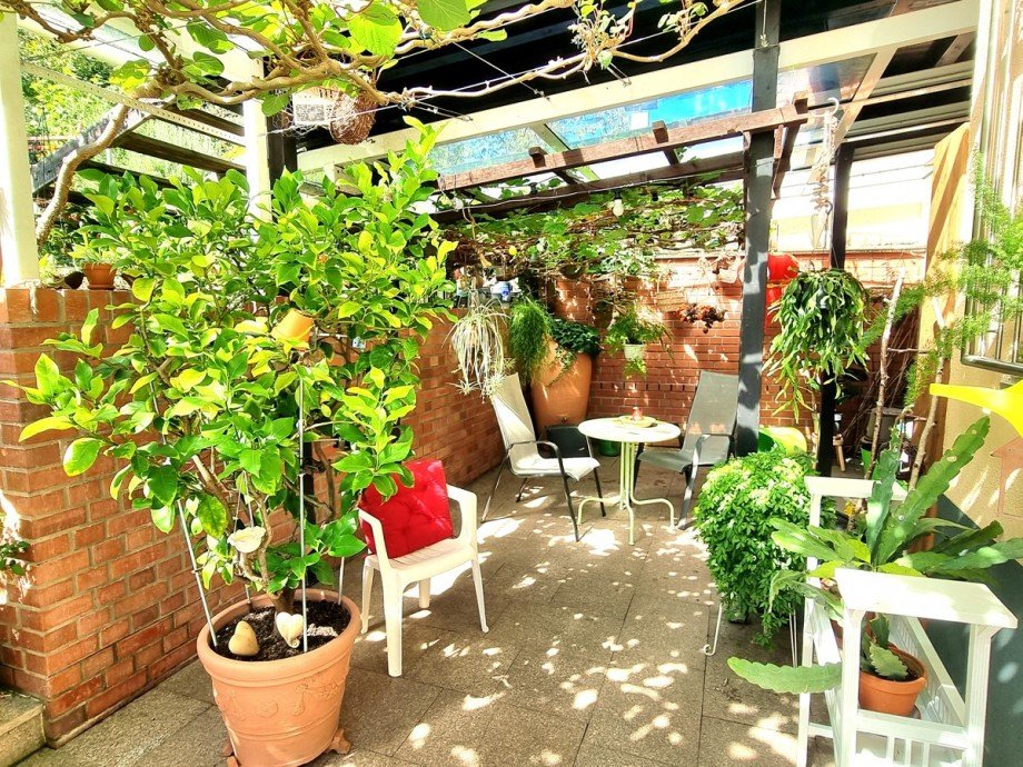 �berdachte Terrasse am Erdgeschoss mit optionalem H�ngemattenplatz Doppelhaush�lfte Wetzlar