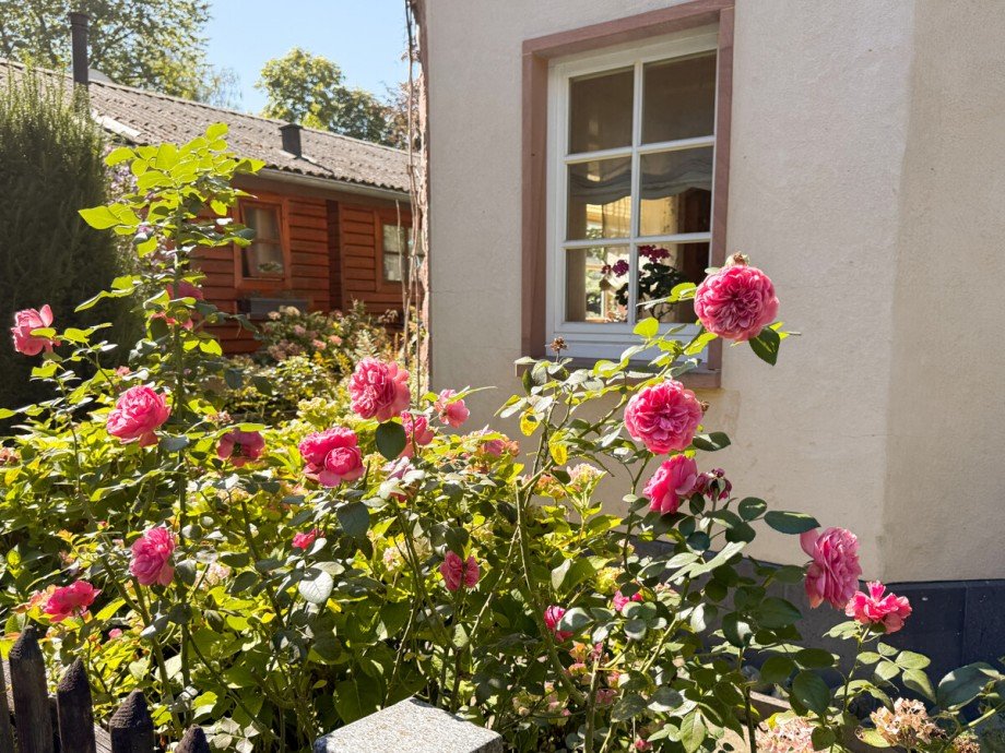 Ich schenk Dir eine Rose Einfamilienhaus Braunfels