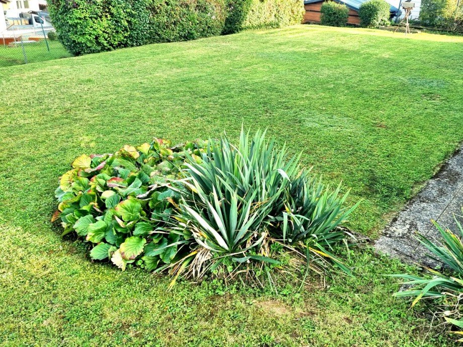 Gro�er ebenerdiger Garten Einfamilienhaus Solms / Burgsolms